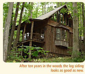 Cabin in Gid Brown Hollow, VA