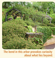 Curving arbor